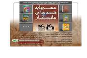 مربی کانون پرورش فکری آذربایجان غربی برگزیده مهرواره «قصه‌های ماندگار» شد 